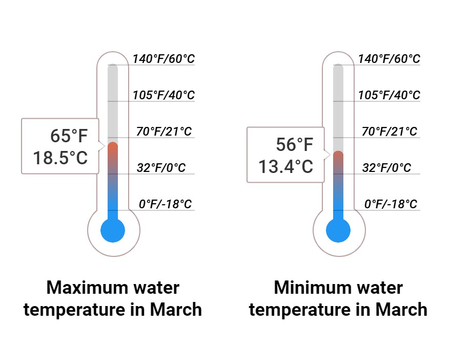 Average Sea temperature